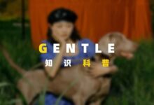 字母圈谁身上的小狗儿味跑出来了？-瘾欢