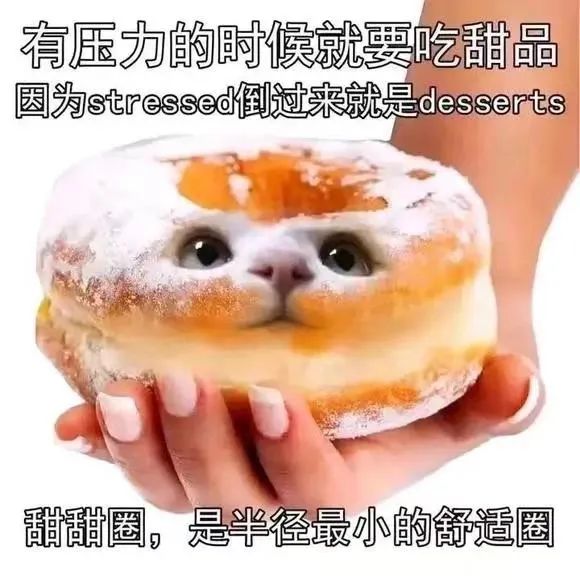 字母圈dirty talk不完全指南 字母圈dirty talk不完全指南