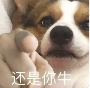 字母圈慎玩,这玩意儿比S虐多了!(≖ ◡ ≖) 字母圈慎玩,这玩意儿比S虐多了!(≖ ◡ ≖)