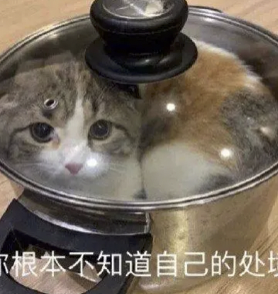 字母圈“投喂小猪”又是什么play?想试! (๑><๑) 字母圈“投喂小猪”又是什么play?想试! (๑><๑)