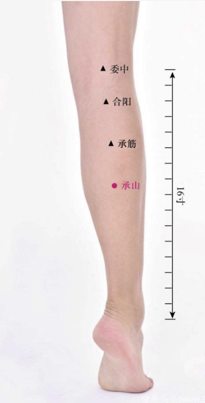 字母圈学会这一手,钢铁M都得一哆嗦(|T|Д|T|) 字母圈学会这一手,钢铁M都得一哆嗦(|T|Д|T|)