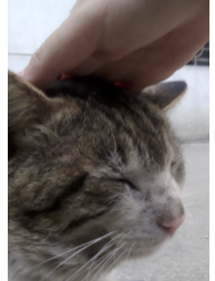 字母圈Sweet Talk,更适合中国宝宝体质的烧话! 字母圈Sweet Talk,更适合中国宝宝体质的烧话!