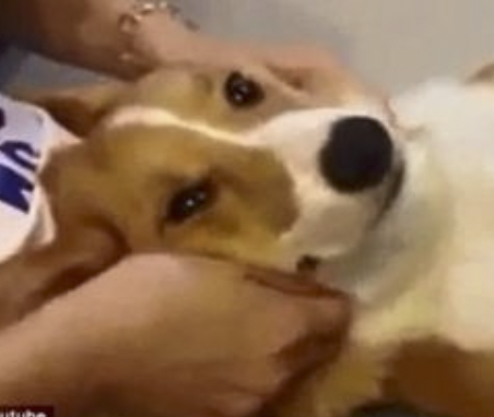 字母圈Sweet Talk,更适合中国宝宝体质的烧话! 字母圈Sweet Talk,更适合中国宝宝体质的烧话!