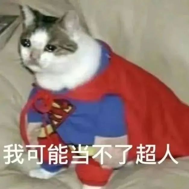 字母圈如何做一个有吸引力的sub(上) 字母圈如何做一个有吸引力的sub(上)