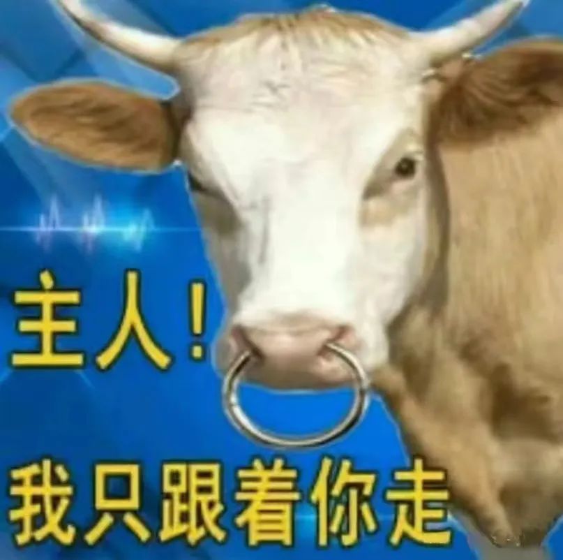 字母圈“女生恋足为什么似乎很少听到？”