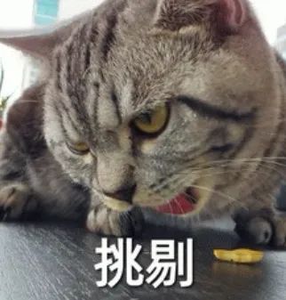 字母圈异地跟亲爱的的主不在一个城市 字母圈异地跟亲爱的的主不在一个城市