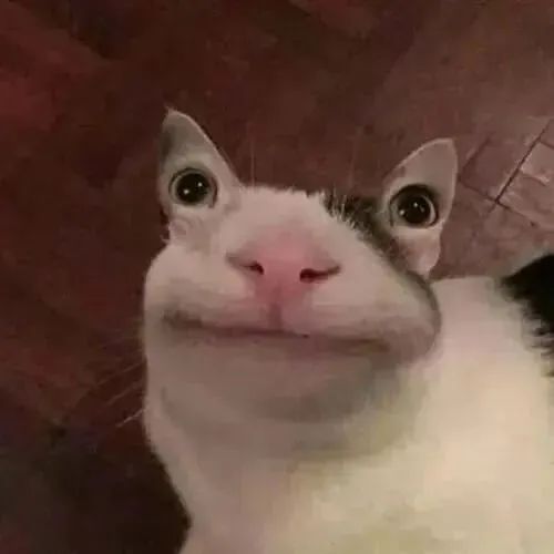 字母圈如何做一个有吸引力的sub(上) 字母圈如何做一个有吸引力的sub(上)