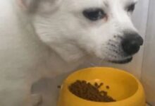 异地跟亲爱的的主不在一个城市-瘾欢