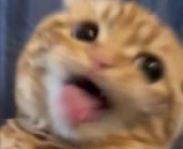 字母圈Sweet Talk,更适合中国宝宝体质的烧话! 字母圈Sweet Talk,更适合中国宝宝体质的烧话!