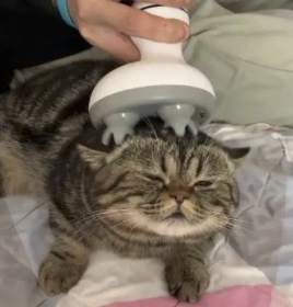 字母圈Sweet Talk,更适合中国宝宝体质的烧话! 字母圈Sweet Talk,更适合中国宝宝体质的烧话!