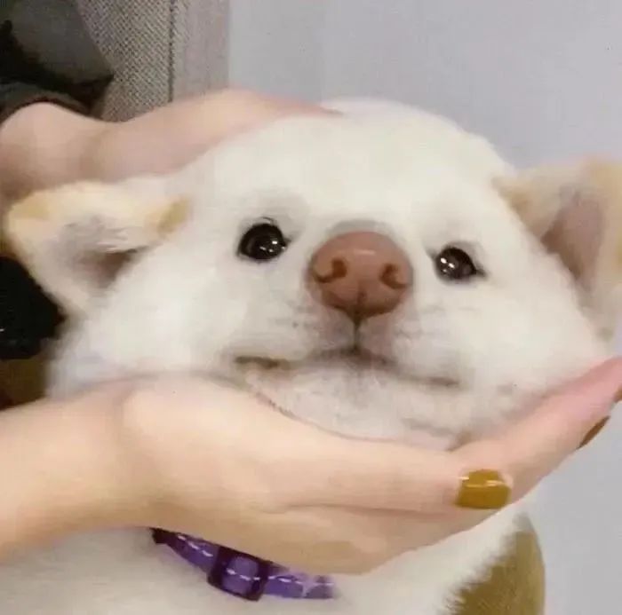 字母圈异地跟亲爱的的主不在一个城市 字母圈异地跟亲爱的的主不在一个城市