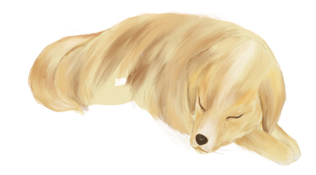 字母圈女s与她的四只“宠物” 字母圈女s与她的四只“宠物”