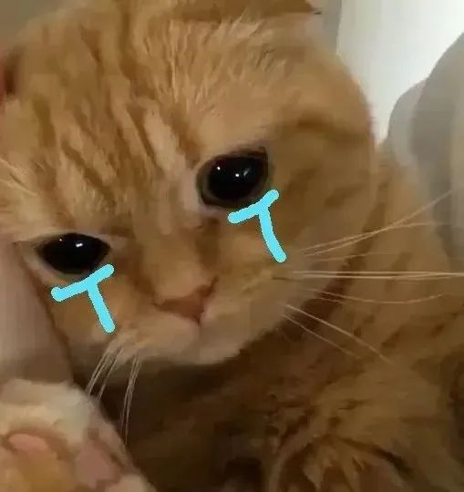 字母圈如何做一个有吸引力的sub(上) 字母圈如何做一个有吸引力的sub(上)