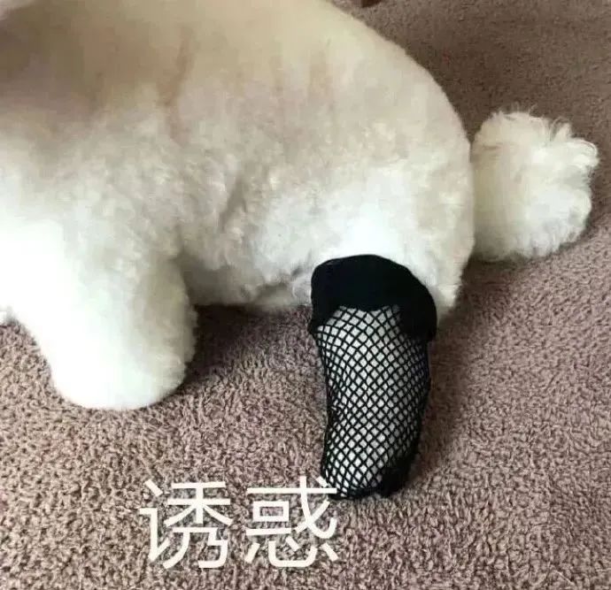 字母圈异地跟亲爱的的主不在一个城市 字母圈异地跟亲爱的的主不在一个城市