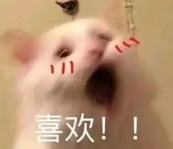 字母圈异地跟亲爱的的主不在一个城市 字母圈异地跟亲爱的的主不在一个城市