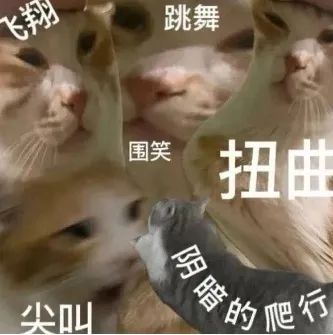 字母圈如何做一个有吸引力的sub(上) 字母圈如何做一个有吸引力的sub(上)