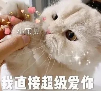 字母圈如何做一个有吸引力的sub(上) 字母圈如何做一个有吸引力的sub(上)