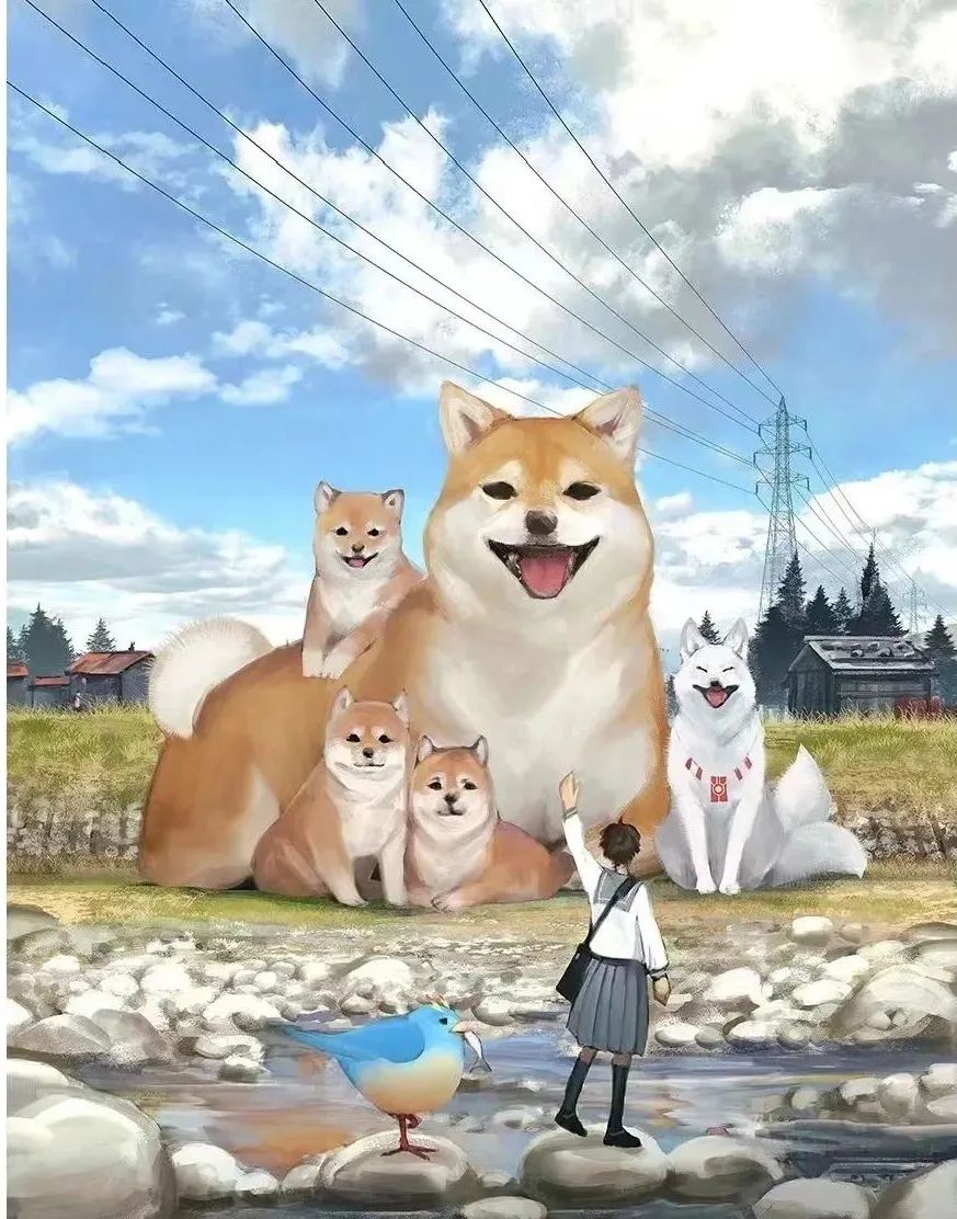 字母圈如何做一个有吸引力的sub(下) 字母圈如何做一个有吸引力的sub(下)