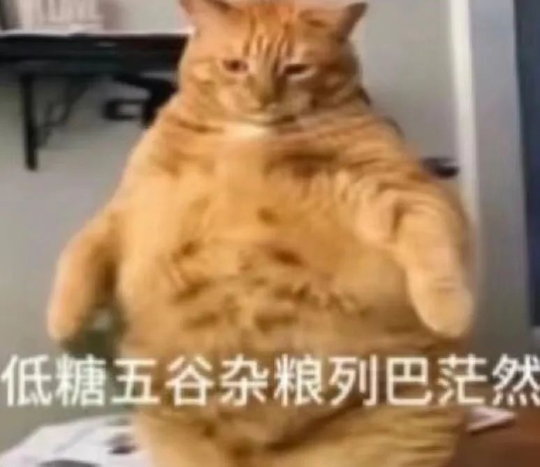 字母圈“女生恋足为什么似乎很少听到？”