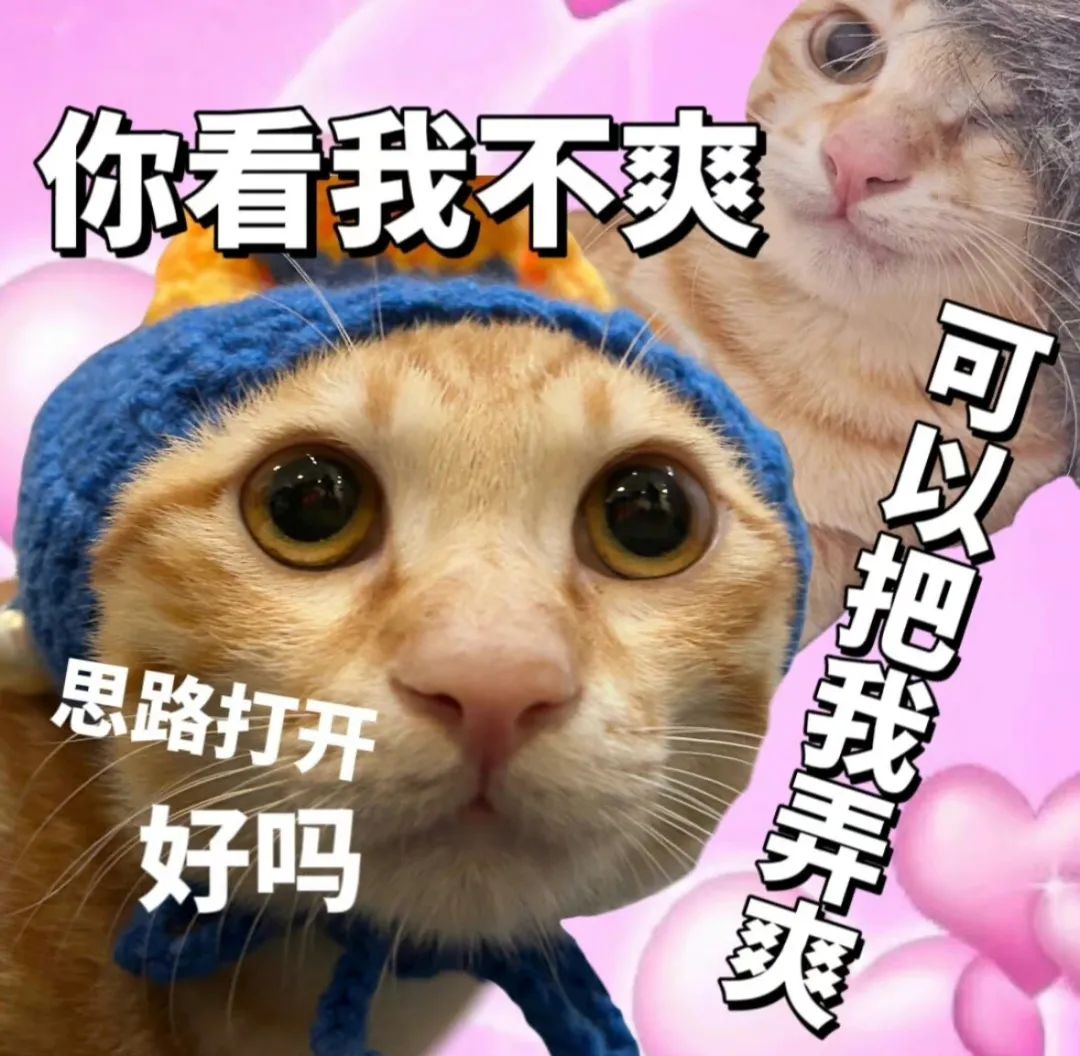 字母圈这只dom咋“brat里brat气”的??? 字母圈这只dom咋“brat里brat气”的???