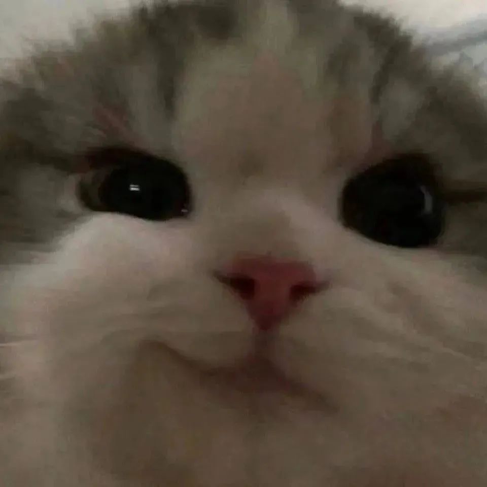 字母圈如何做一个有吸引力的sub(上) 字母圈如何做一个有吸引力的sub(上)