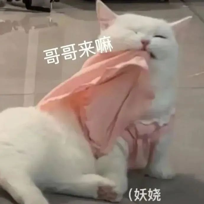 字母圈异地跟亲爱的的主不在一个城市 字母圈异地跟亲爱的的主不在一个城市