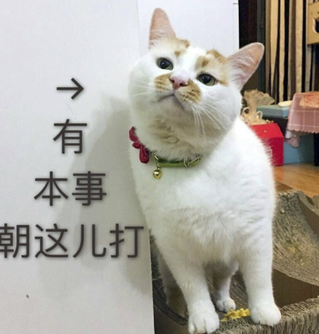 字母圈Sweet Talk,更适合中国宝宝体质的烧话! 字母圈Sweet Talk,更适合中国宝宝体质的烧话!