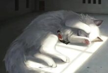 如何做一个有吸引力的sub(下)-瘾欢