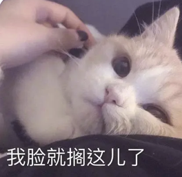 字母圈Sweet Talk,更适合中国宝宝体质的烧话! 字母圈Sweet Talk,更适合中国宝宝体质的烧话!