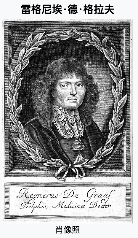 字母圈“淫水”是什么? 字母圈“淫水”是什么?