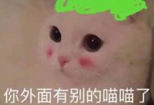 字母圈dirty talk如何一句话出戏-瘾欢