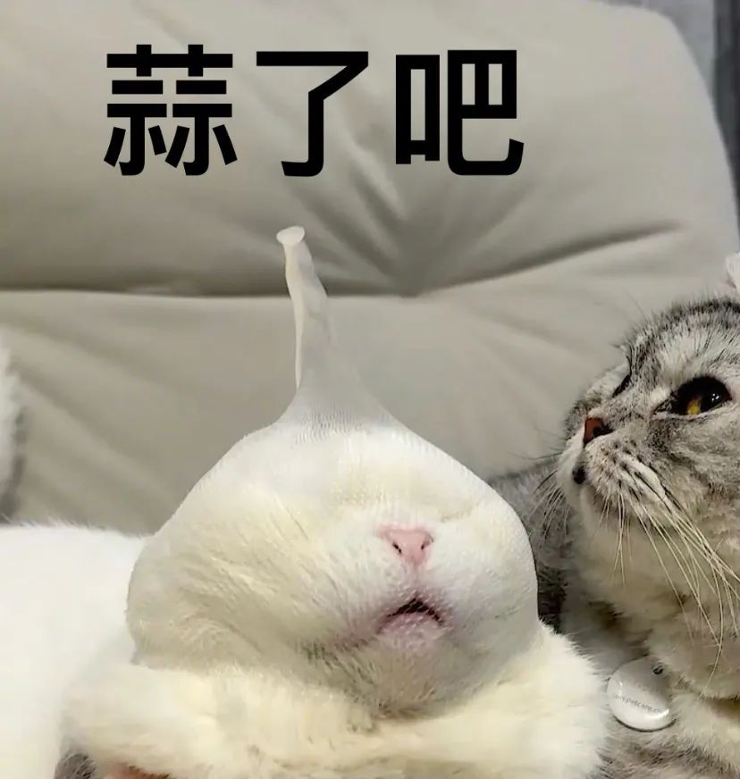 字母圈恋鼻孔恋腋窝恋肚脐……真就一切部位皆可xp 字母圈恋鼻孔恋腋窝恋肚脐……真就一切部位皆可xp