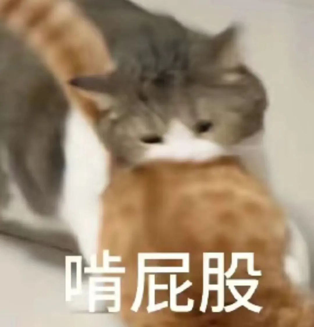 字母圈恋鼻孔恋腋窝恋肚脐……真就一切部位皆可xp 字母圈恋鼻孔恋腋窝恋肚脐……真就一切部位皆可xp