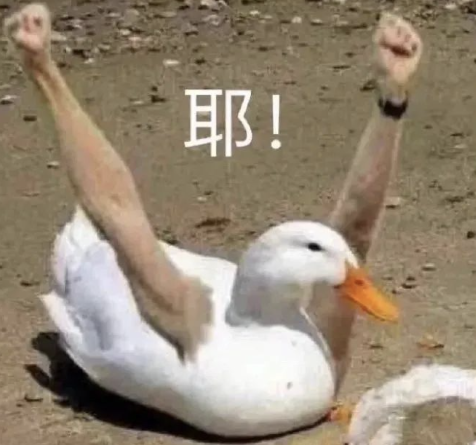 字母圈大型bdsm科普攻略: 「双属性」真的是伪S/M吗?!(干货预警) 字母圈大型bdsm科普攻略: 「双属性」真的是伪S/M吗?!(干货预警)