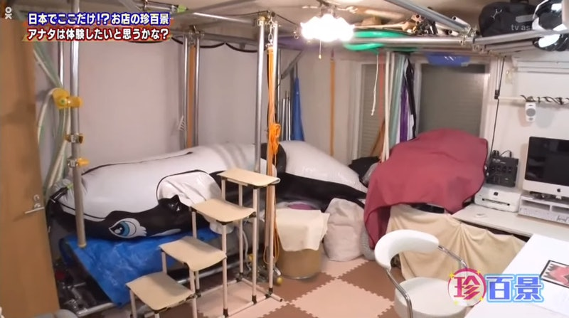 字母圈“包裹我、压住我~” 字母圈“包裹我、压住我~”