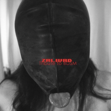 字母圈什么东西,M嚎叫,但S想要?(≧口≦) 字母圈什么东西,M嚎叫,但S想要?(≧口≦)