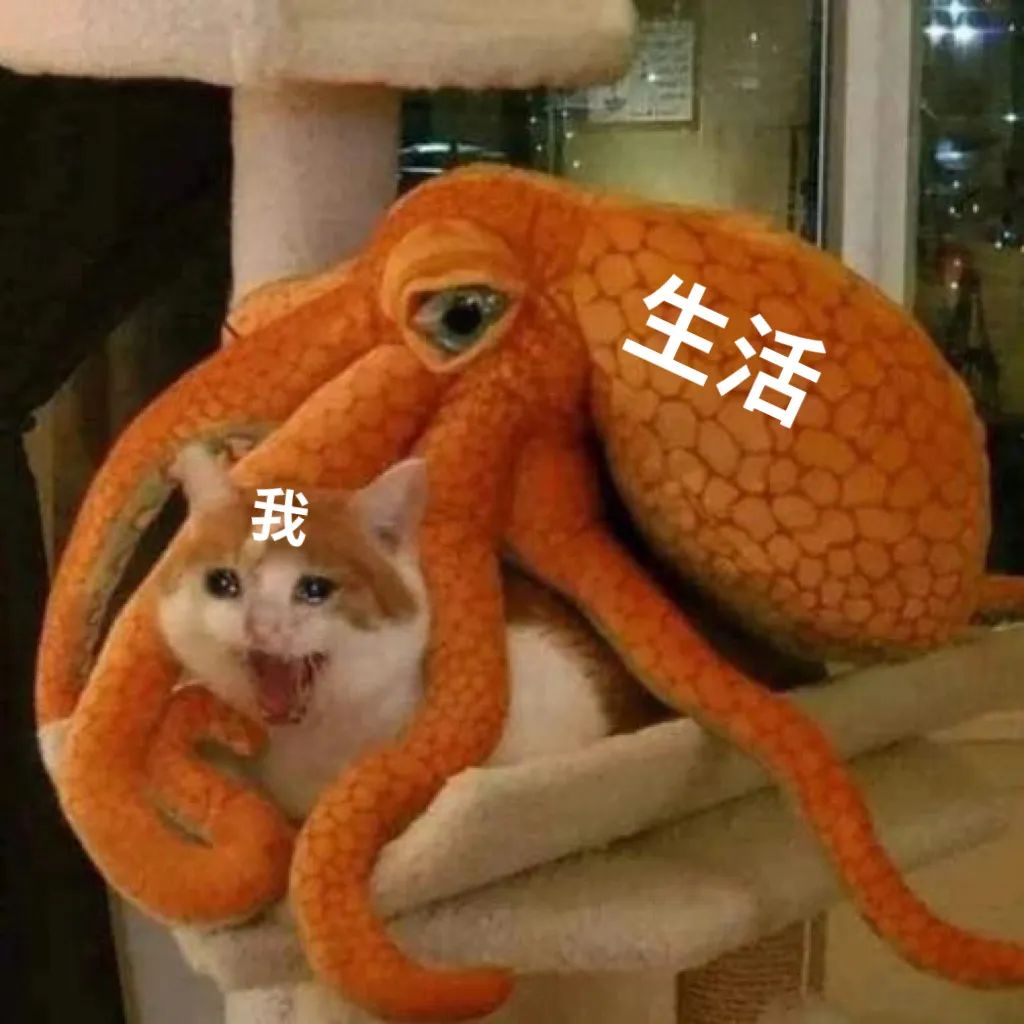 字母圈《BDSM快速沟通表》(建议实践前都填~ 字母圈《BDSM快速沟通表》(建议实践前都填~