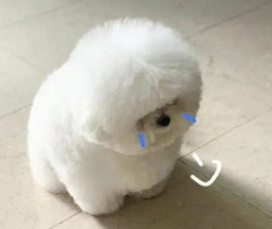 字母圈女M们,正在服“缺爱”役 字母圈女M们,正在服“缺爱”役