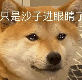 字母圈女M们,正在服“缺爱”役 字母圈女M们,正在服“缺爱”役