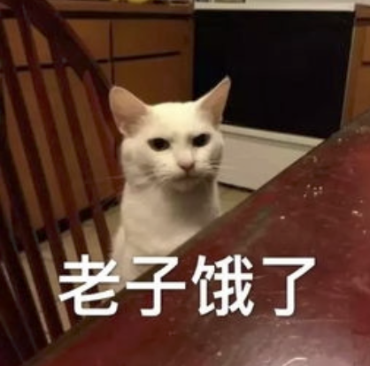 字母圈M自评表,会让体验更好or更糟? 字母圈M自评表,会让体验更好or更糟?