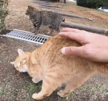 字母圈为了“把SM属性写脸上”,smer想出了多少狠招?! 字母圈为了“把SM属性写脸上”,smer想出了多少狠招?!