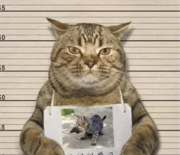 字母圈什么情况下bdsm会构成非法拘禁罪?|严肃科普 字母圈什么情况下bdsm会构成非法拘禁罪?|严肃科普