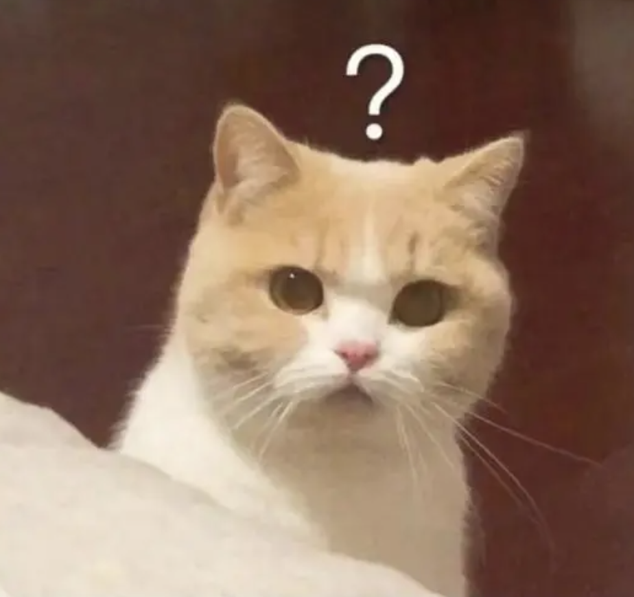 字母圈为什么是“母狗”? 字母圈为什么是“母狗”?