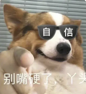 字母圈为了教你Aftercare,我研发了一种很小众的“爆炒”文学 字母圈为了教你Aftercare,我研发了一种很小众的“爆炒”文学