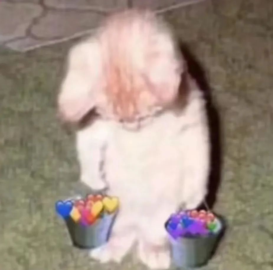 字母圈S/dom也会需要安全词?没错是的! 字母圈S/dom也会需要安全词?没错是的!