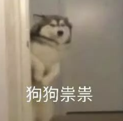 字母圈最“BT”的S,都在惩罚M“练瑜伽” 字母圈最“BT”的S,都在惩罚M“练瑜伽”