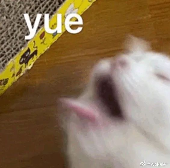 字母圈【sub必看】“dom不靠谱”的3条早识别信号 字母圈【sub必看】“dom不靠谱”的3条早识别信号