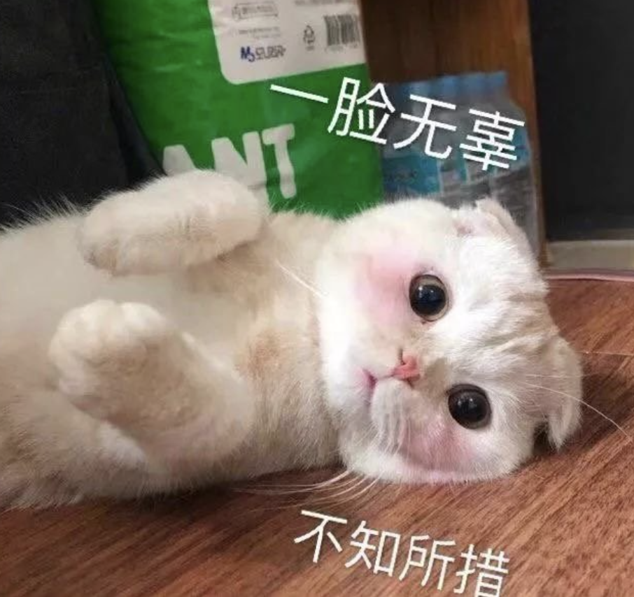 字母圈我们玩bdsm时,身体里在发生什么?O_0 字母圈我们玩bdsm时,身体里在发生什么?O_0