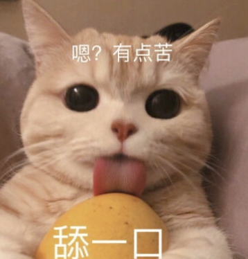 字母圈M自评表,会让体验更好or更糟? 字母圈M自评表,会让体验更好or更糟?