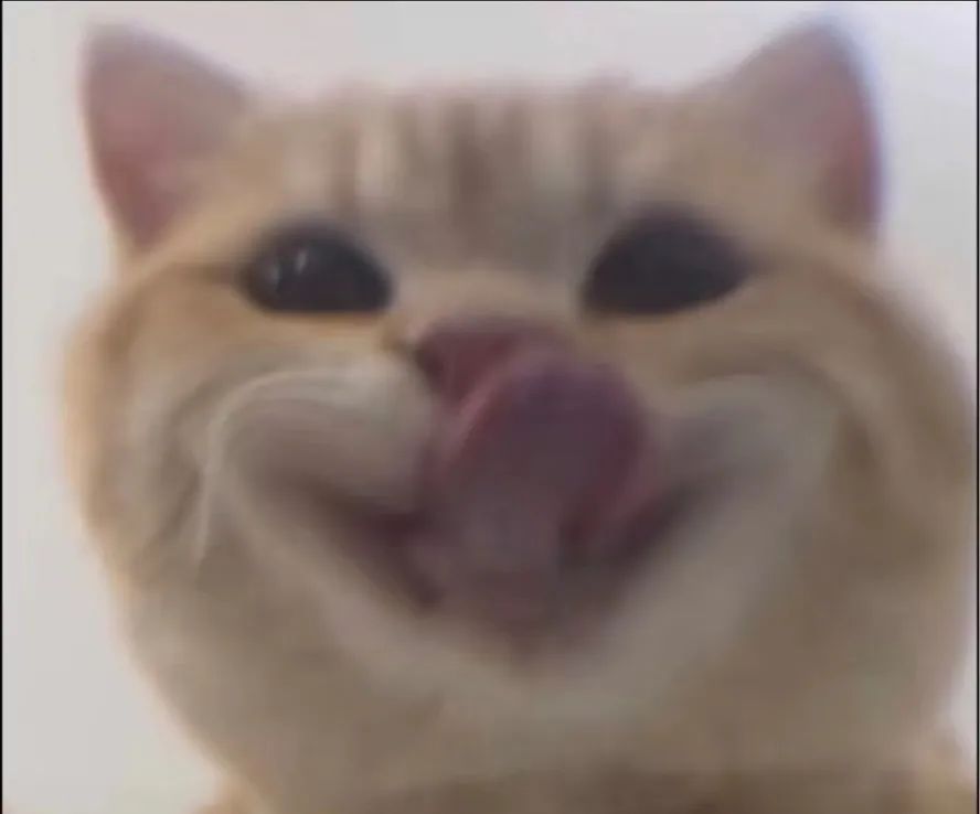 字母圈玩腻了宠物play,“畜牧农场”play考虑一下? 字母圈玩腻了宠物play,“畜牧农场”play考虑一下?